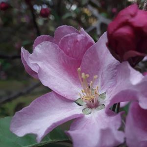 Meet your Posher, Kristiina